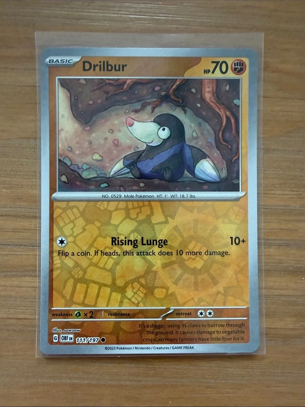 Drilbur & Excadrill Evolution Lot | 3 Reverse Holo Pokémon Cards ✨5/$25✨